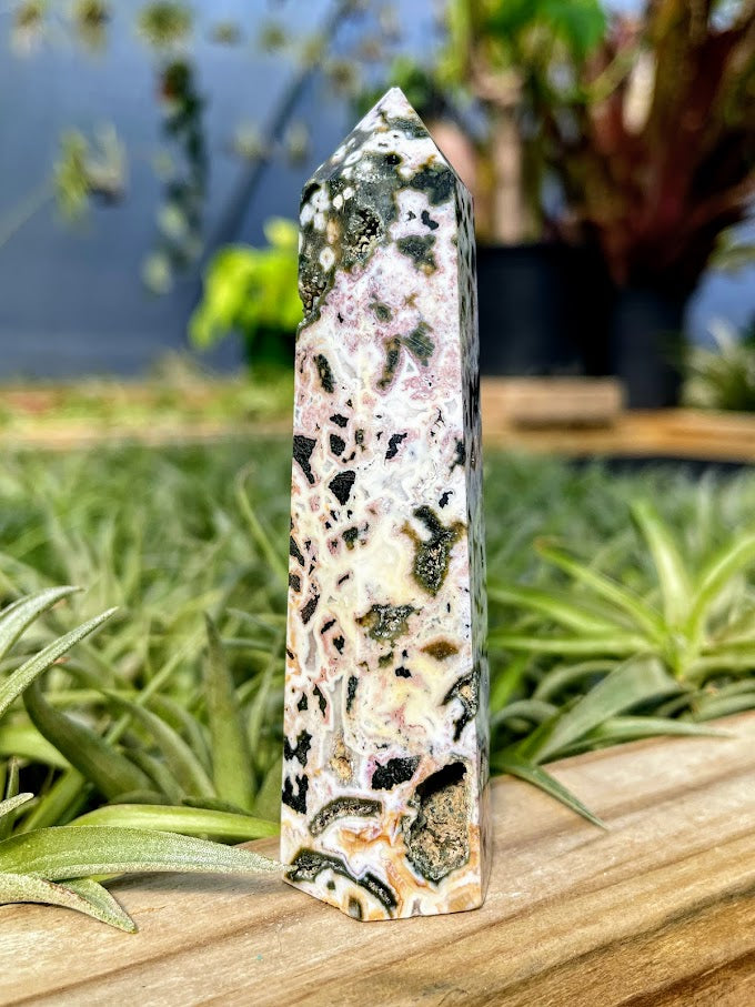 Orbicular Ocean Jasper w/ Druzy Crystal Point