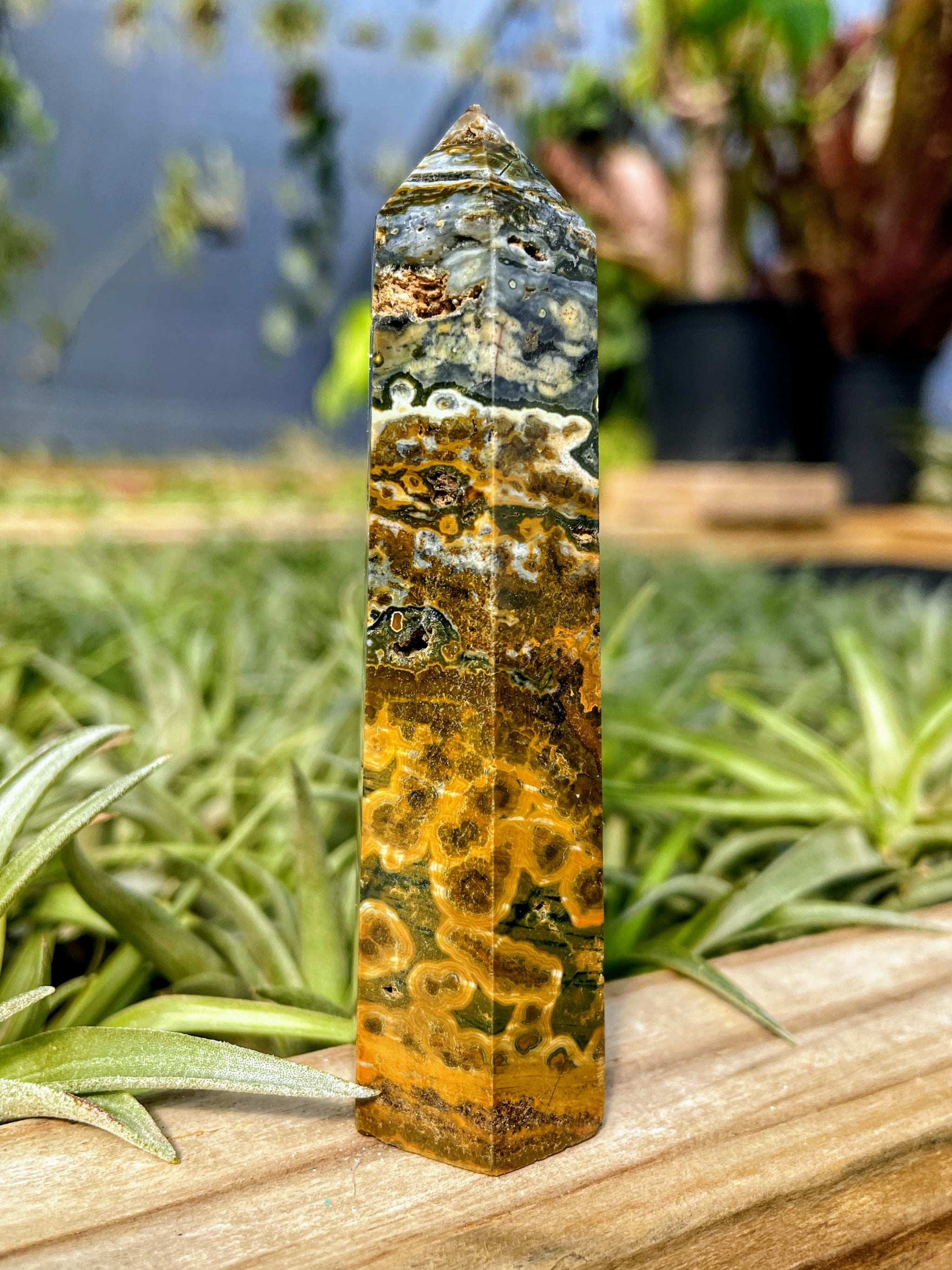 Druzy Orbicular Ocean Jasper Crystal Point