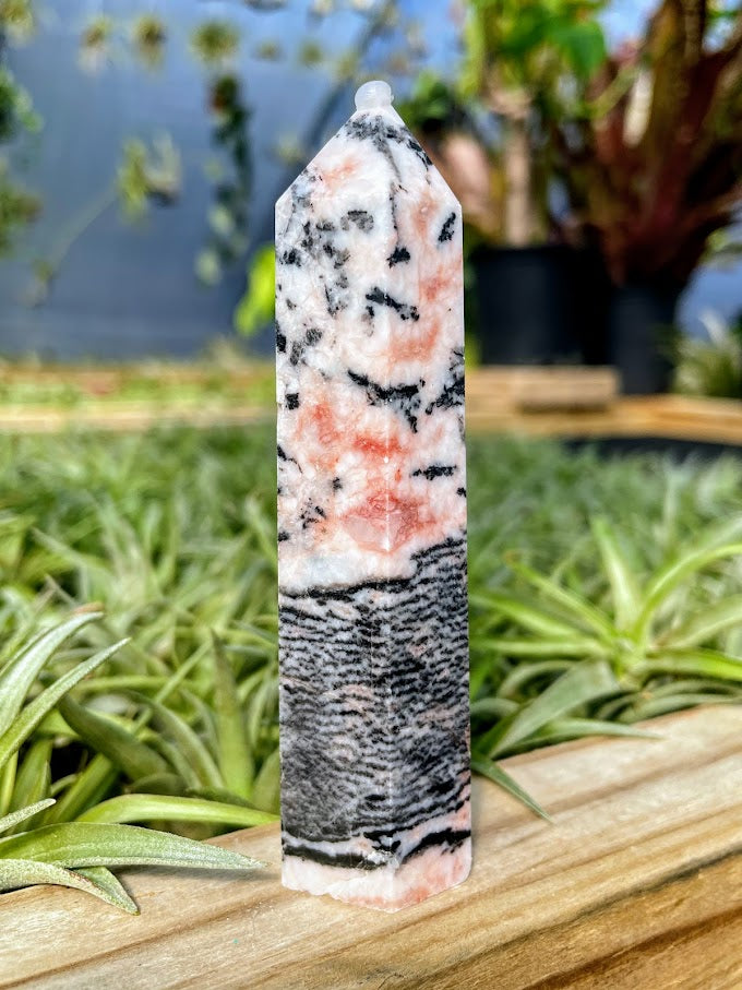 Pink Zebra Jasper Crystal Point