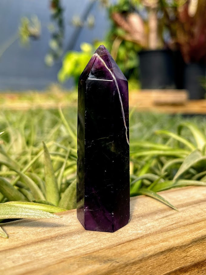 Fluorite Crystal Point