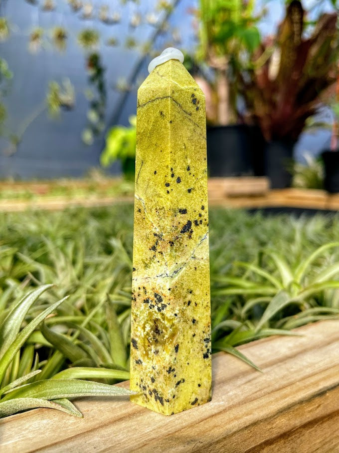 Serpentine Crystal Point