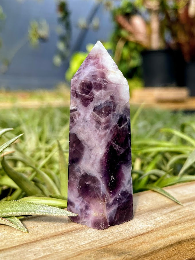 Dream Amethyst Crystal Point