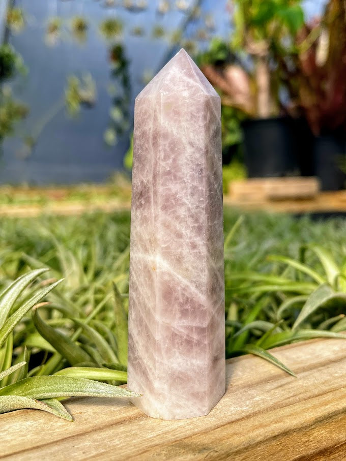 Purple Rose Quartz Crystal Point