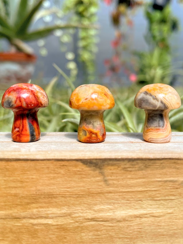 Mini Crazy Lace Agate Crystal Mushroom