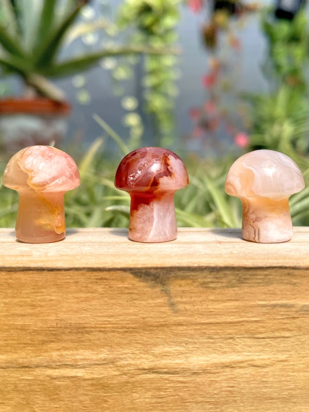 Mini Flower Agate Crystal Mushroom