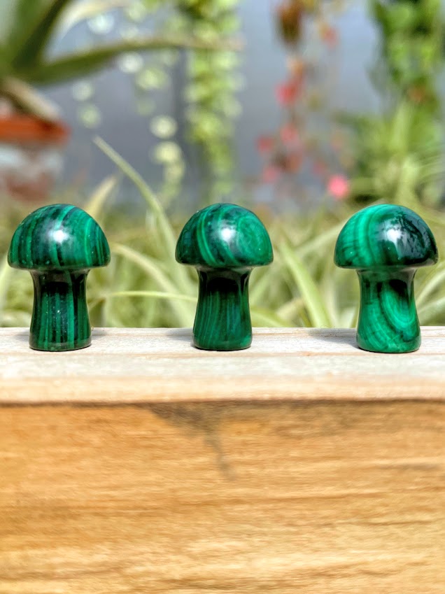 Mini Malachite Crystal Mushroom