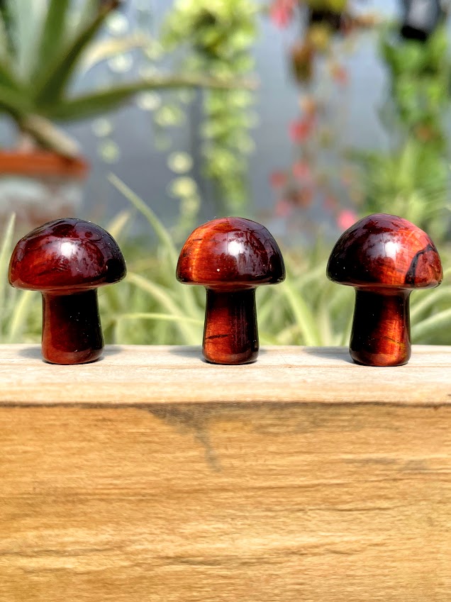 Mini Red Tiger's Eye Crystal Mushroom