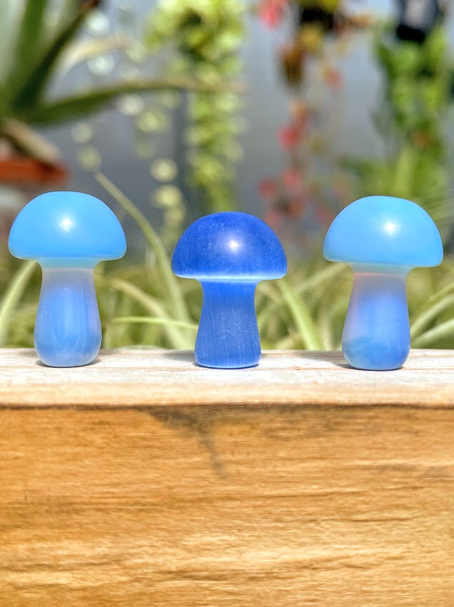 Mini Blue Cats Eye Crystal Mushroom