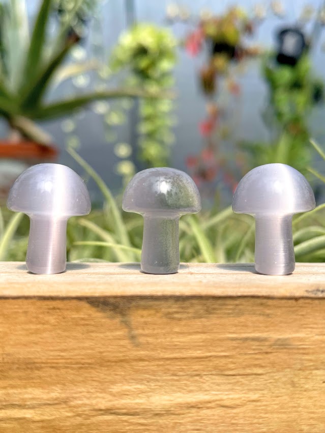 Mini Grey Cats Eye Crystal Mushroom