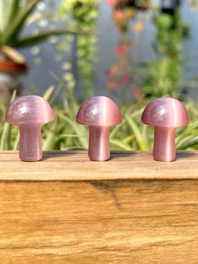 Mini Purple Cats Eye Crystal Mushroom