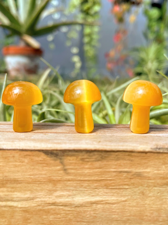 Mini Yellow Cats Eye Crystal Mushroom