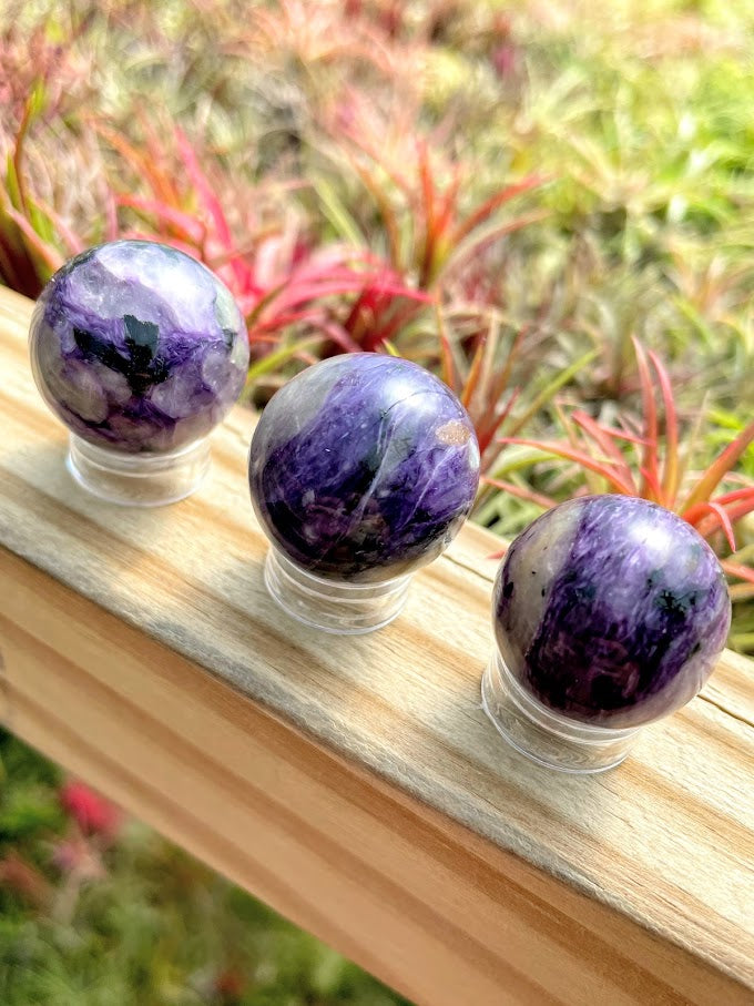 Charoite Mini Sphere