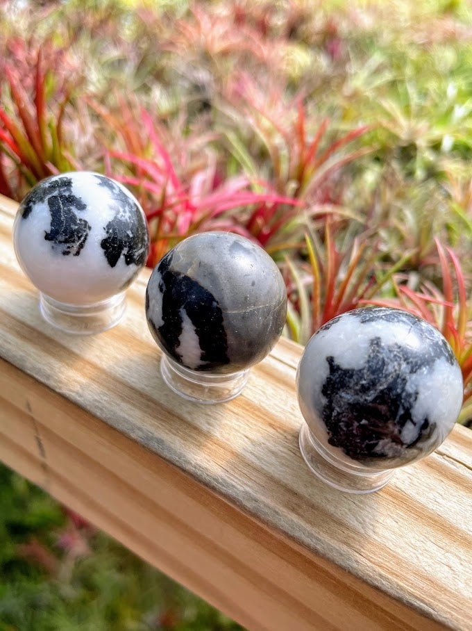Zebra Jasper Mini Sphere