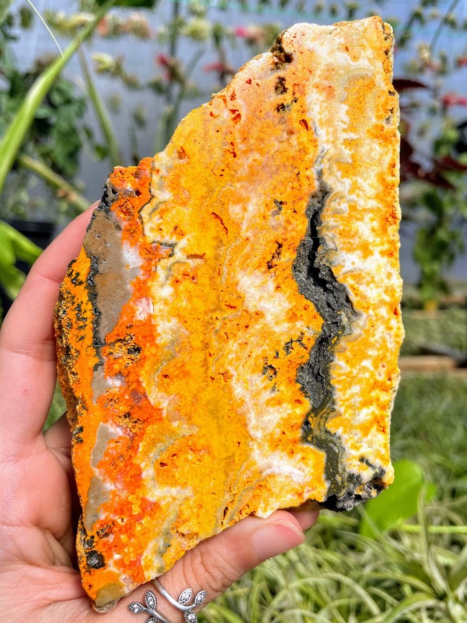 WYSIWYG- Bumblebee Jasper Slab