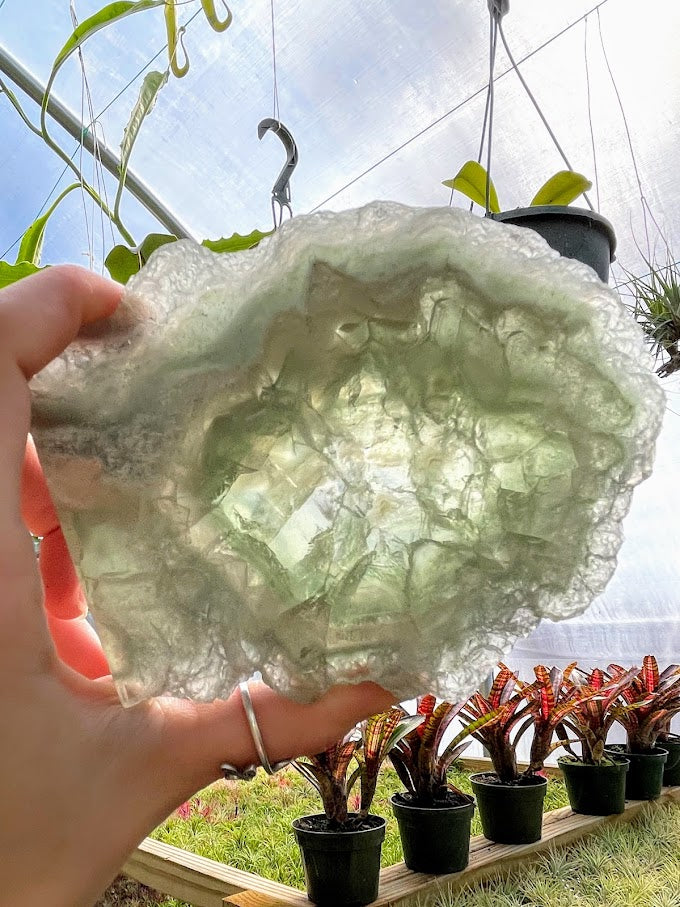 WYSIWYG- Green Fluorite Slab