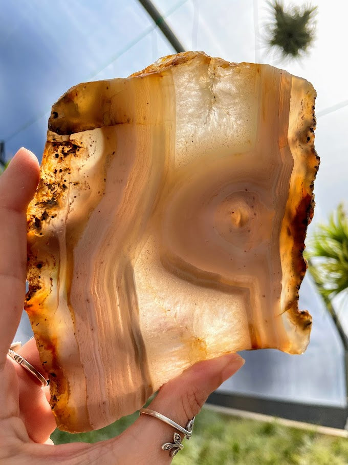 WYSIWYG- Agate Slab