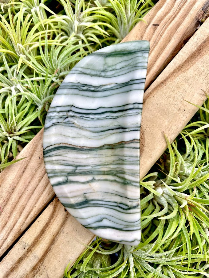 Zebra Jasper Crystal Moon Bowl