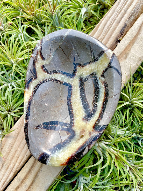 Septarian Crystal Bowl