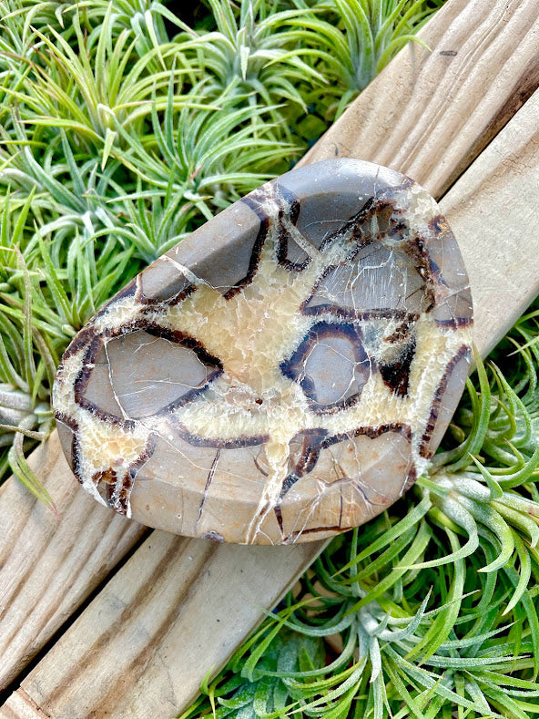 Septarian Crystal Bowl