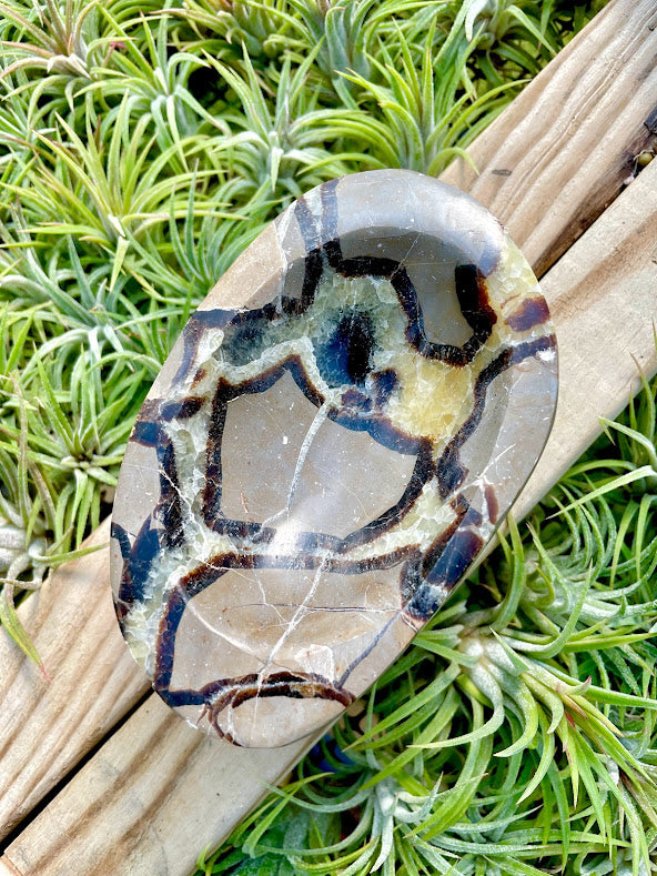 Septarian Crystal Bowl
