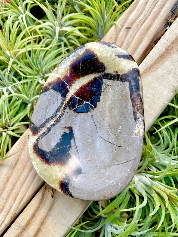Septarian Crystal Bowl