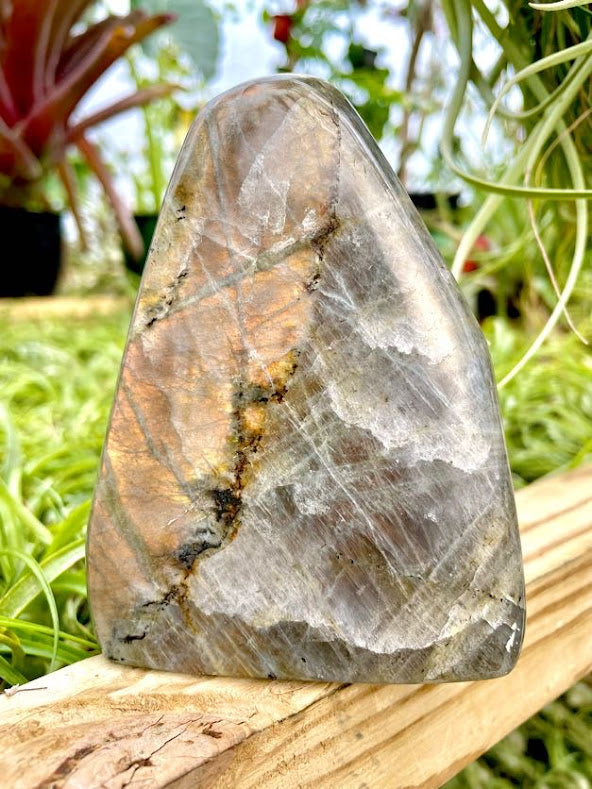 WYSIWYG- Rainbow Labradorite Freeform