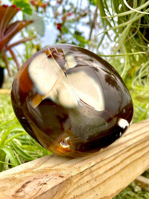 WYSIWYG- Orca Agate Freeform