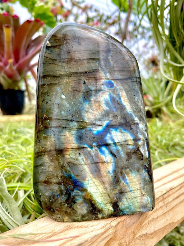 WYSIWYG- Labradorite Freeform