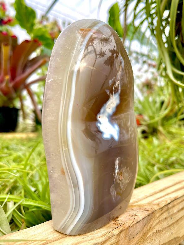 WYSIWYG- Orca Agate Freeform