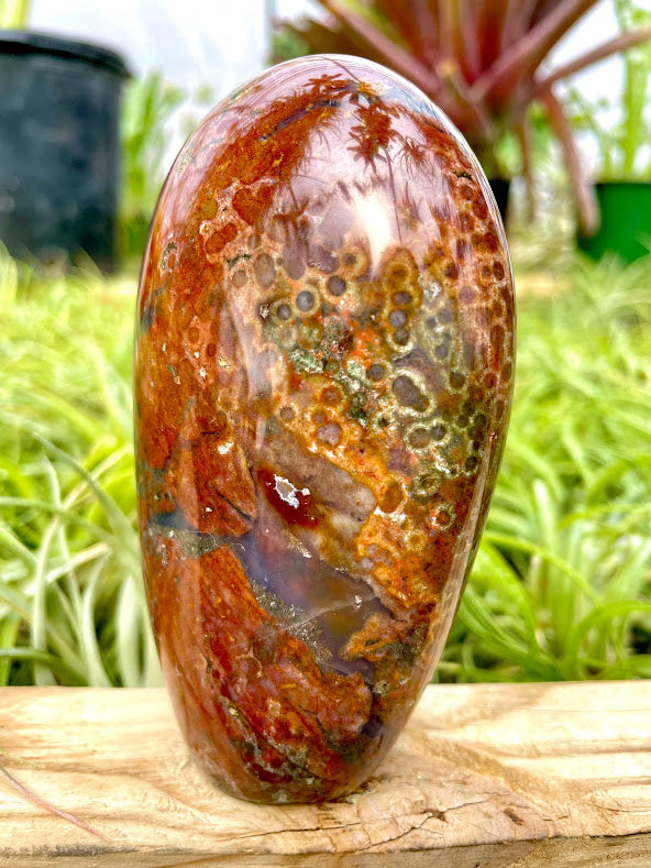 WYSIWYG- Ocean Jasper Freeform