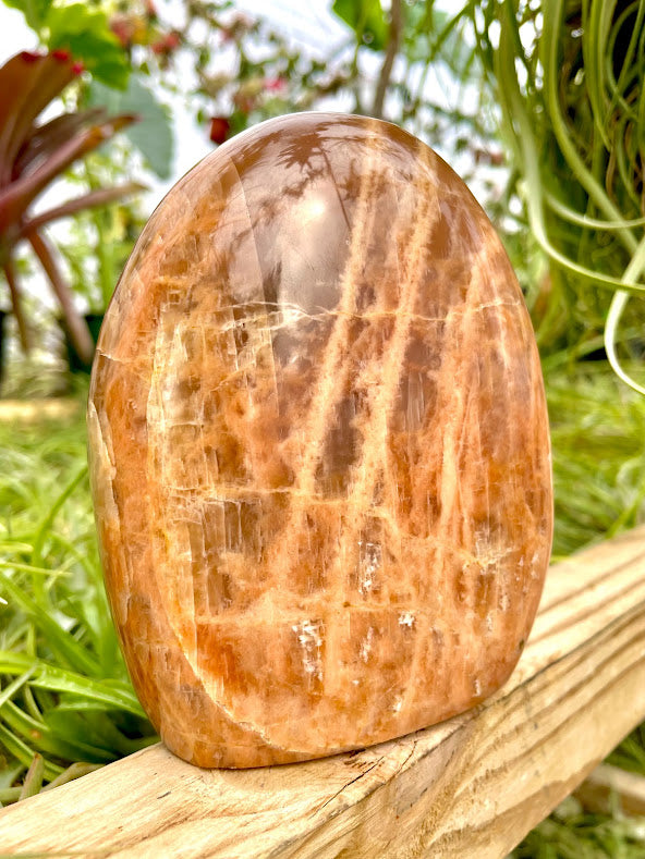 WYSIWYG- Peach Moonstone Freeform