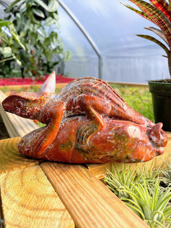 WYSIWYG- Ocean Jasper Chameleon