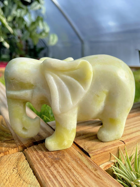 WYSIWYG- Light Green Jade Elephant