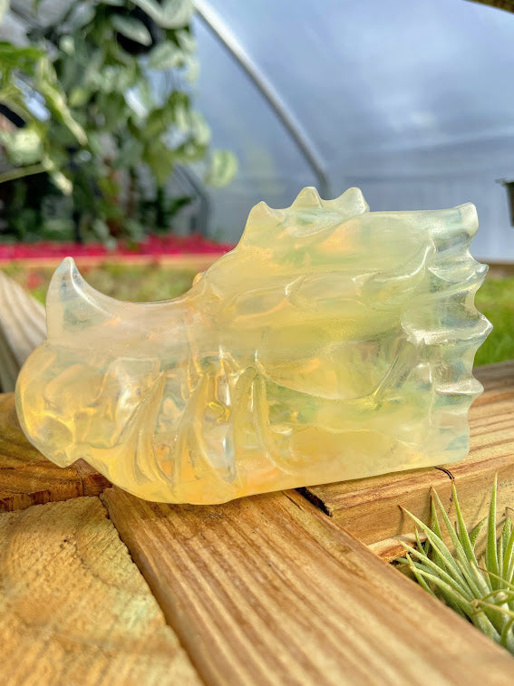 WYSIWYG- Opalite Dragon Head