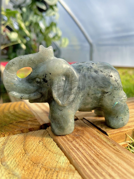 WYSIWYG- Labradorite Elephant