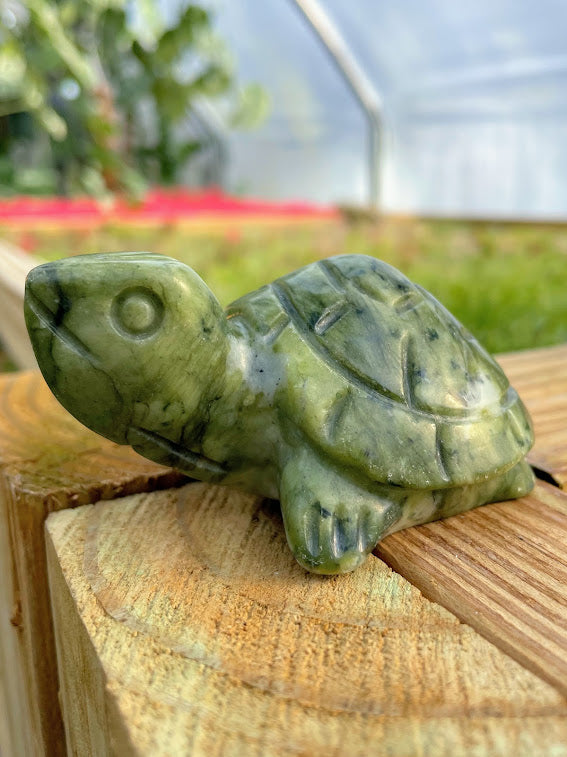 WYSIWYG- Green Jade Turtle
