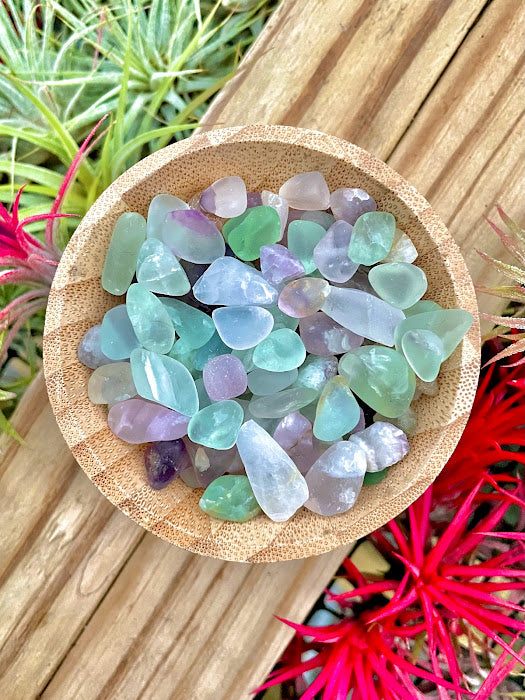 Rainbow Fluorite Crystal Chips 1/4 cup (3oz)