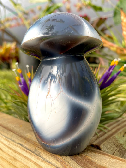 WYSIWYG- Orca Agate Mushroom