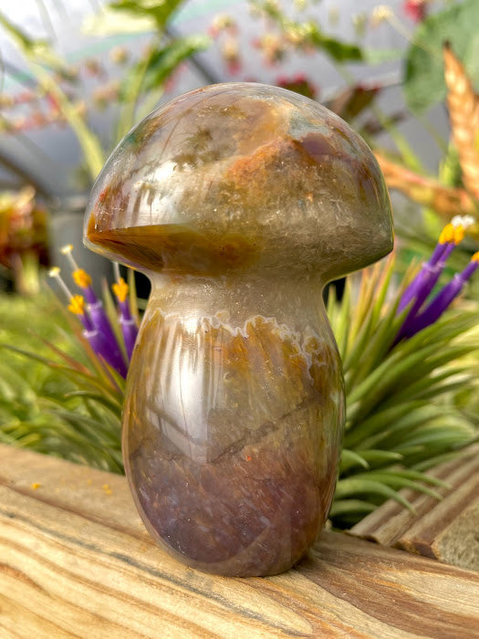 WYSIWYG- Ocean Jasper Mushroom