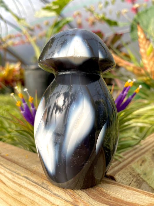 WYSIWYG- Orca Agate Mushroom