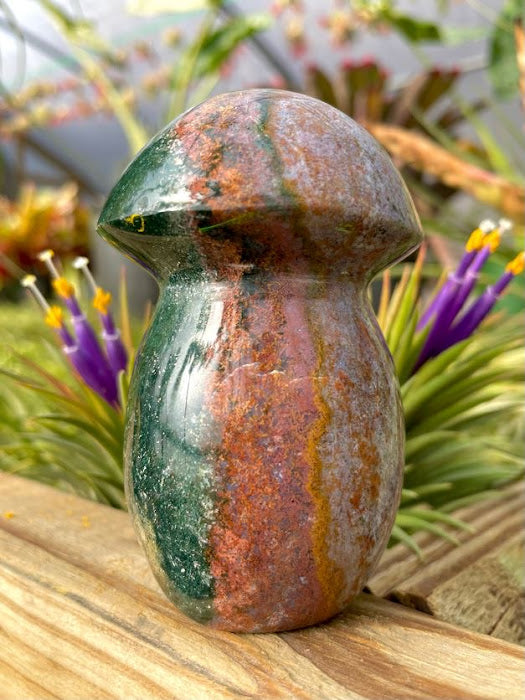 WYSIWYG- Ocean Jasper Mushroom