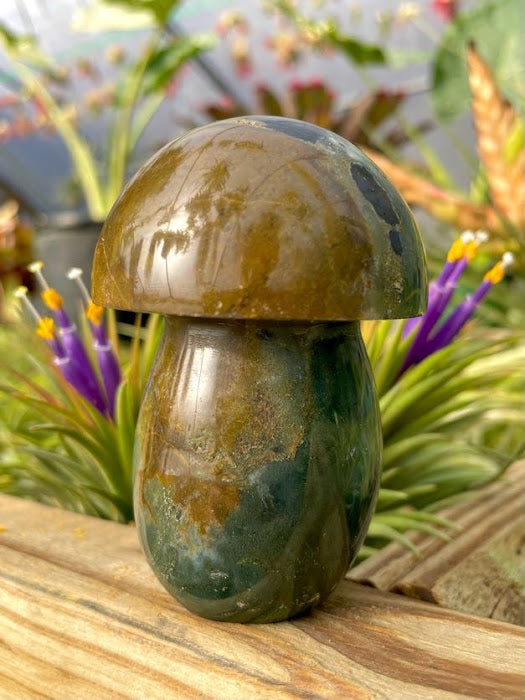 WYSIWYG- Ocean Jasper Mushroom