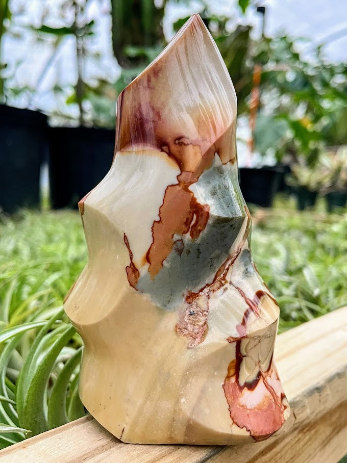 WYSIWYG- Polychrome Jasper Flame