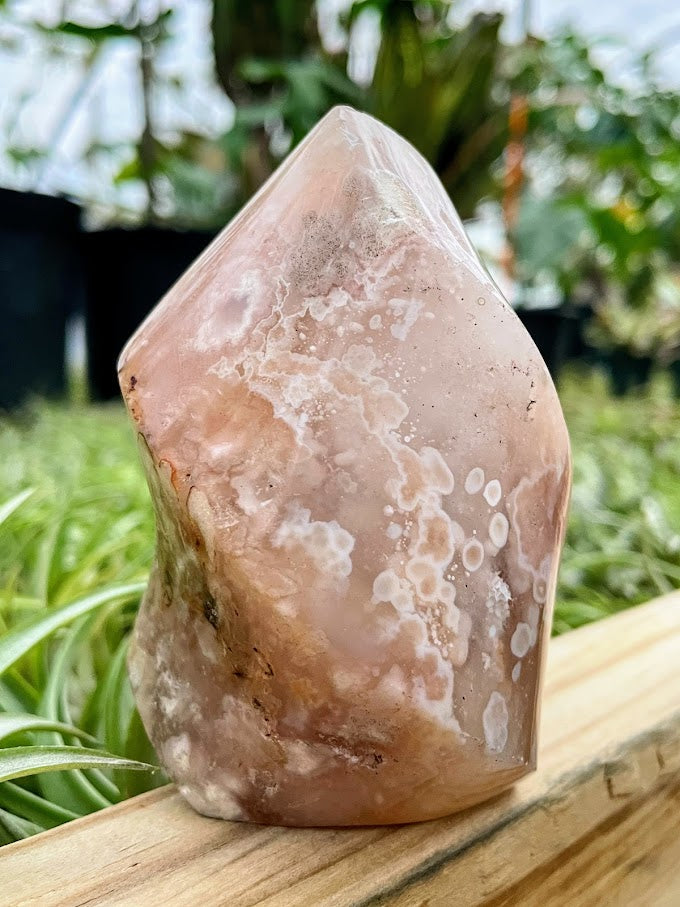 WYSIWYG- Flower Agate Flame