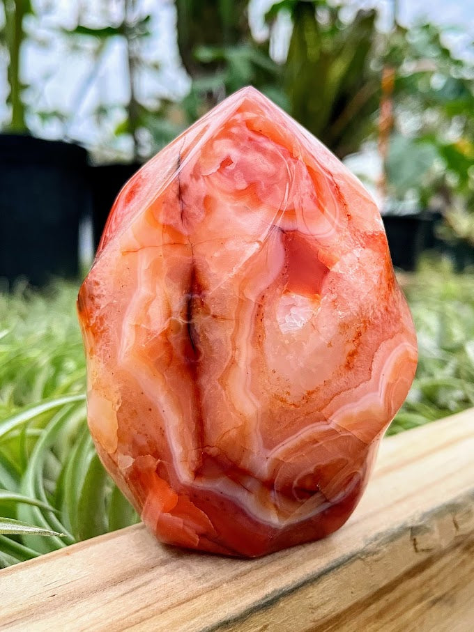 WYSIWYG- Carnelian Flame